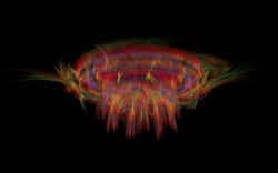 Apo7x-140320-2 l-black.jpg